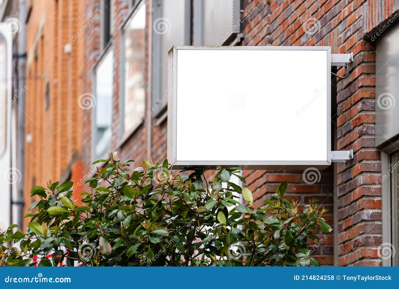 Rectangle Square Store Signboard Mockup Stock Photo - Image of business ...