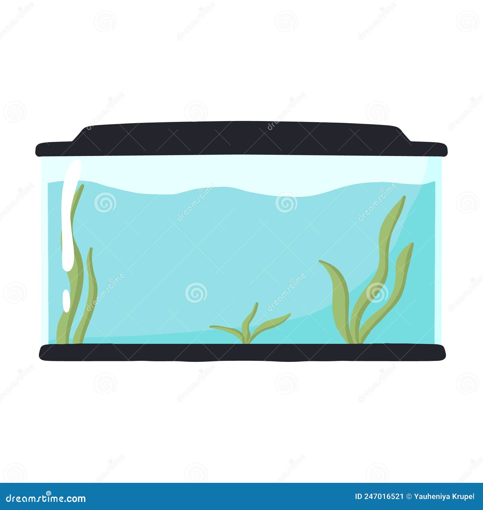 Rectangular Aquarium. Empty Aquarium with Algae Stock Vector