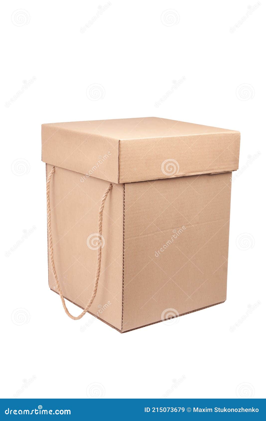 Rectangular Cardboard Box with Rope Lid and Handles. Closed Crown
