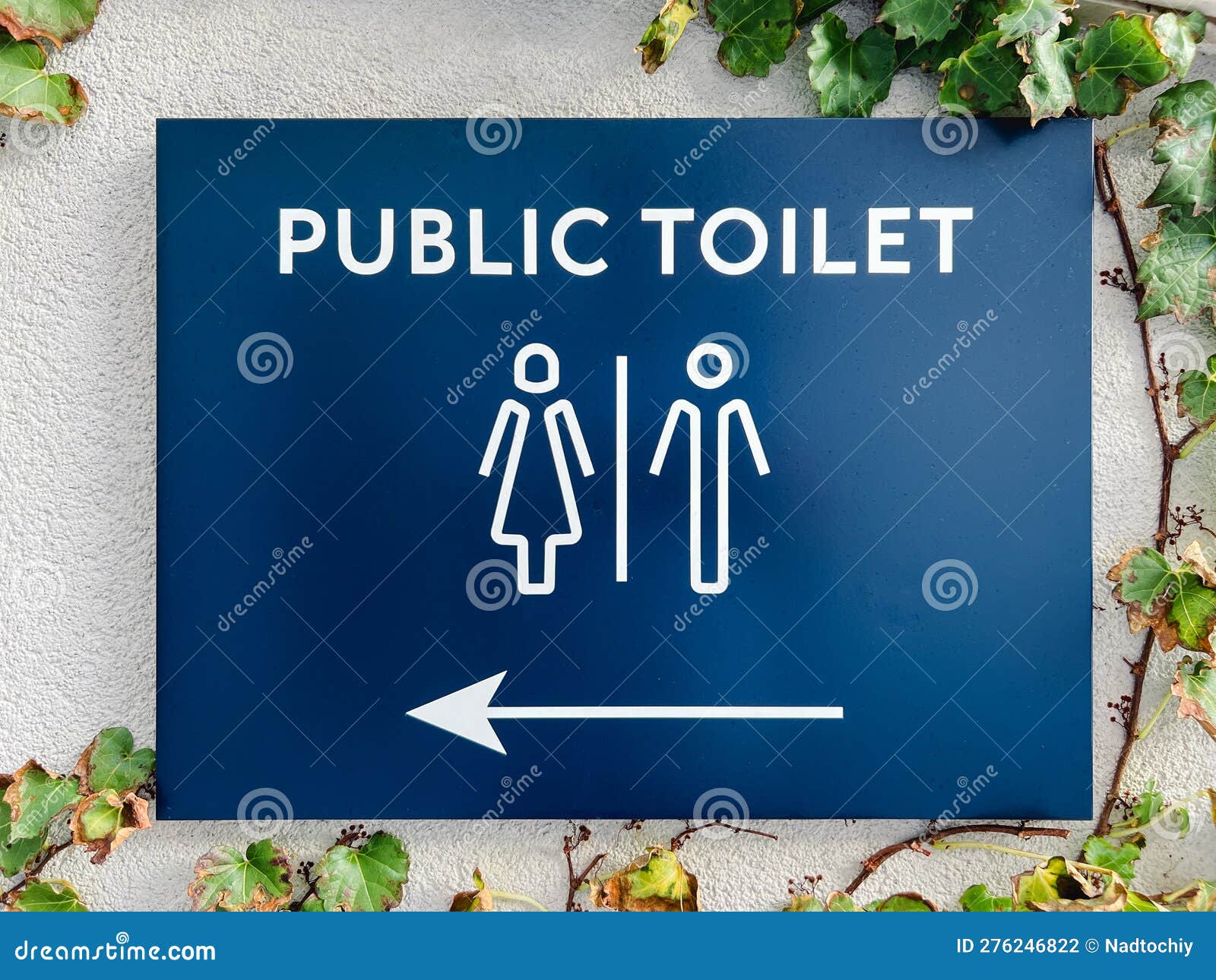 Rectangular Plaque on an Ivycovered Wall. Caption Public Toilet Stock