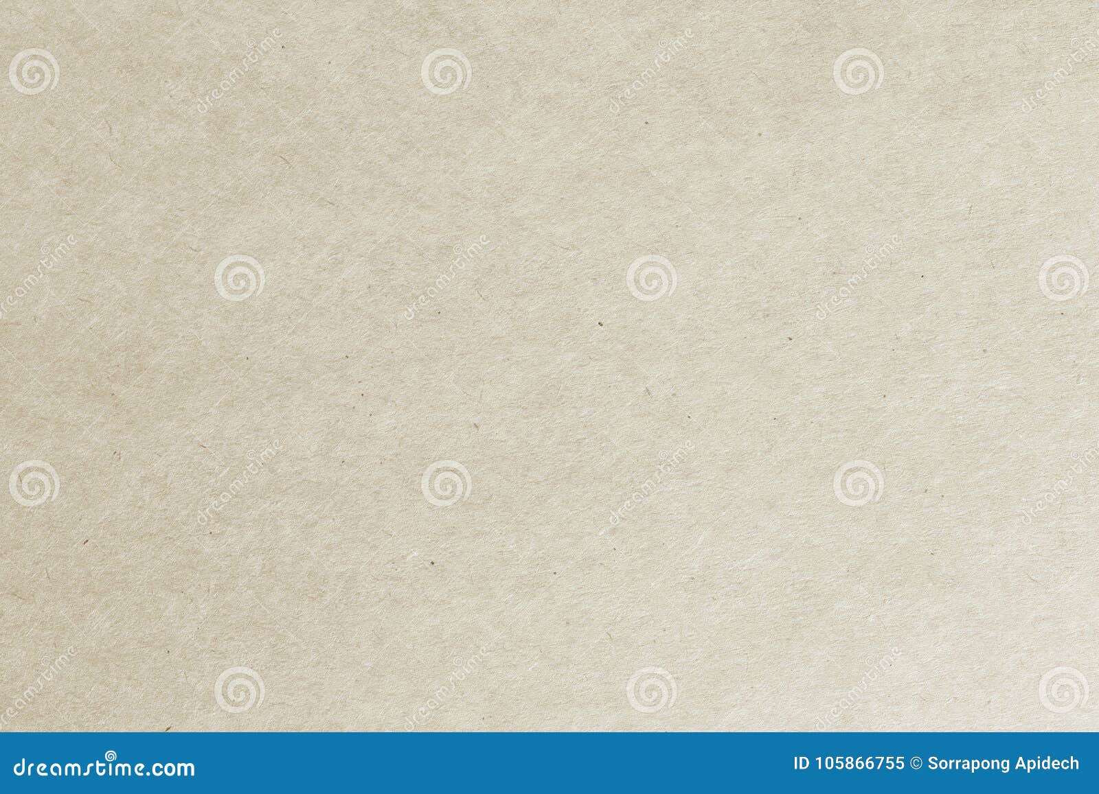 recycled paper texture for background,cardboard sheet of paper f