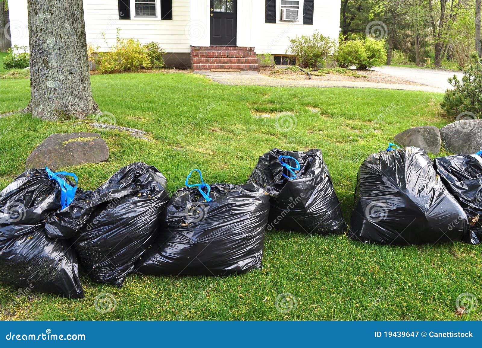 Large overflowing black trash bags full of raked up dry tree leaves in  local area. Parks, courtyards buildings cleaning. Stock Photo by ©Kawaiis  325878176