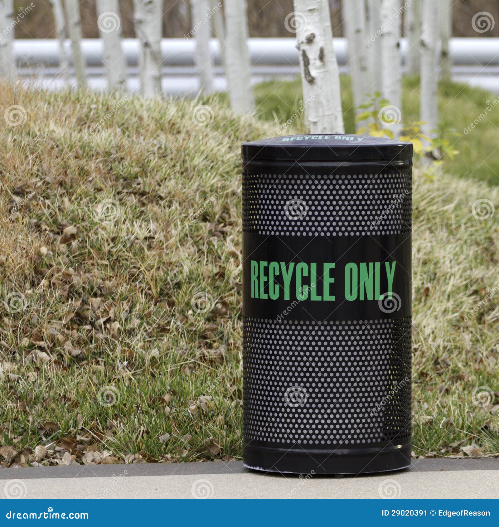 recycling-bin-with-aspen-trees-stock-image-image-of-environment