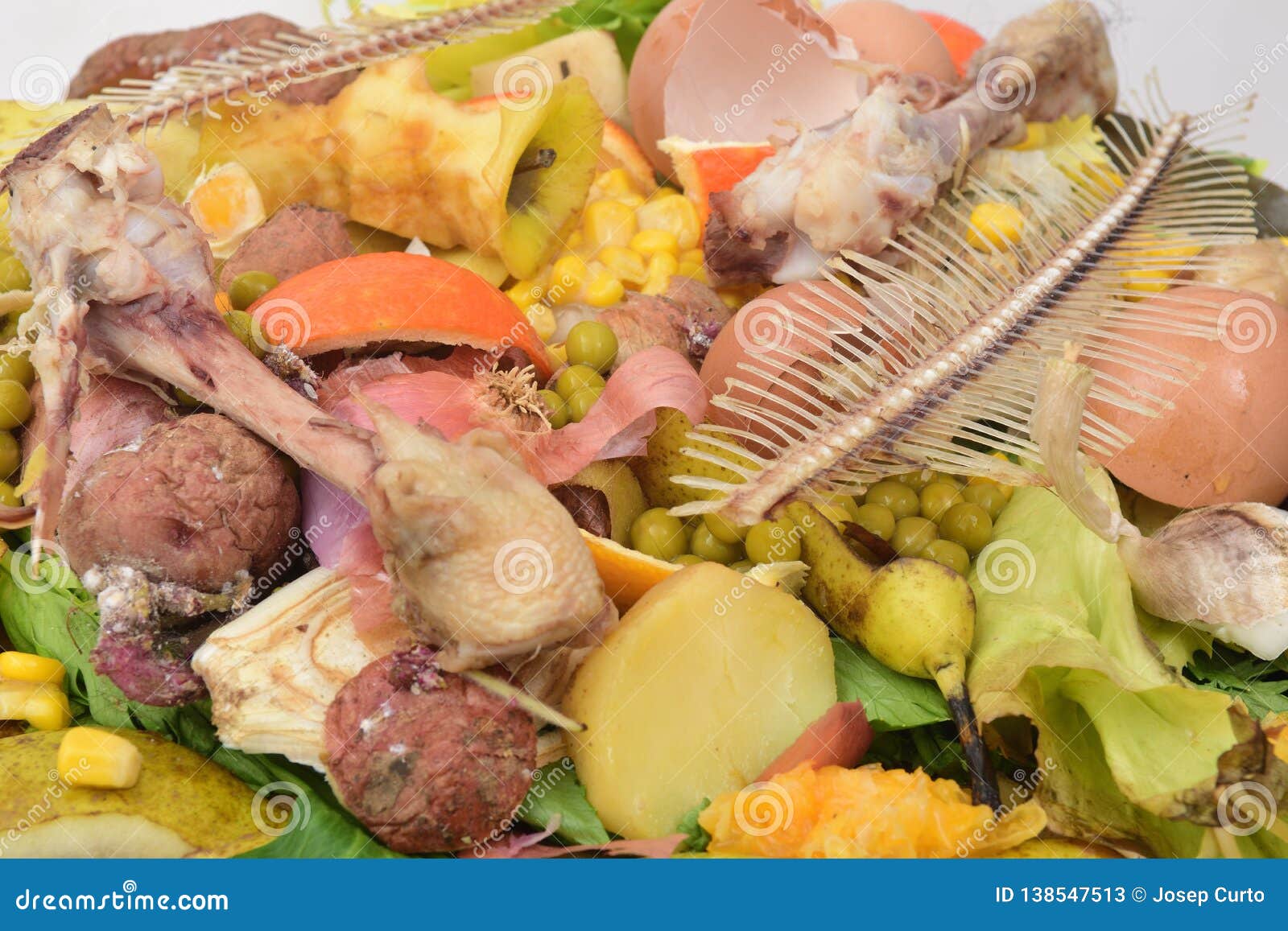 Recycling for Compost Fruits,vegetagles,fish,egg and Bones Stock Image