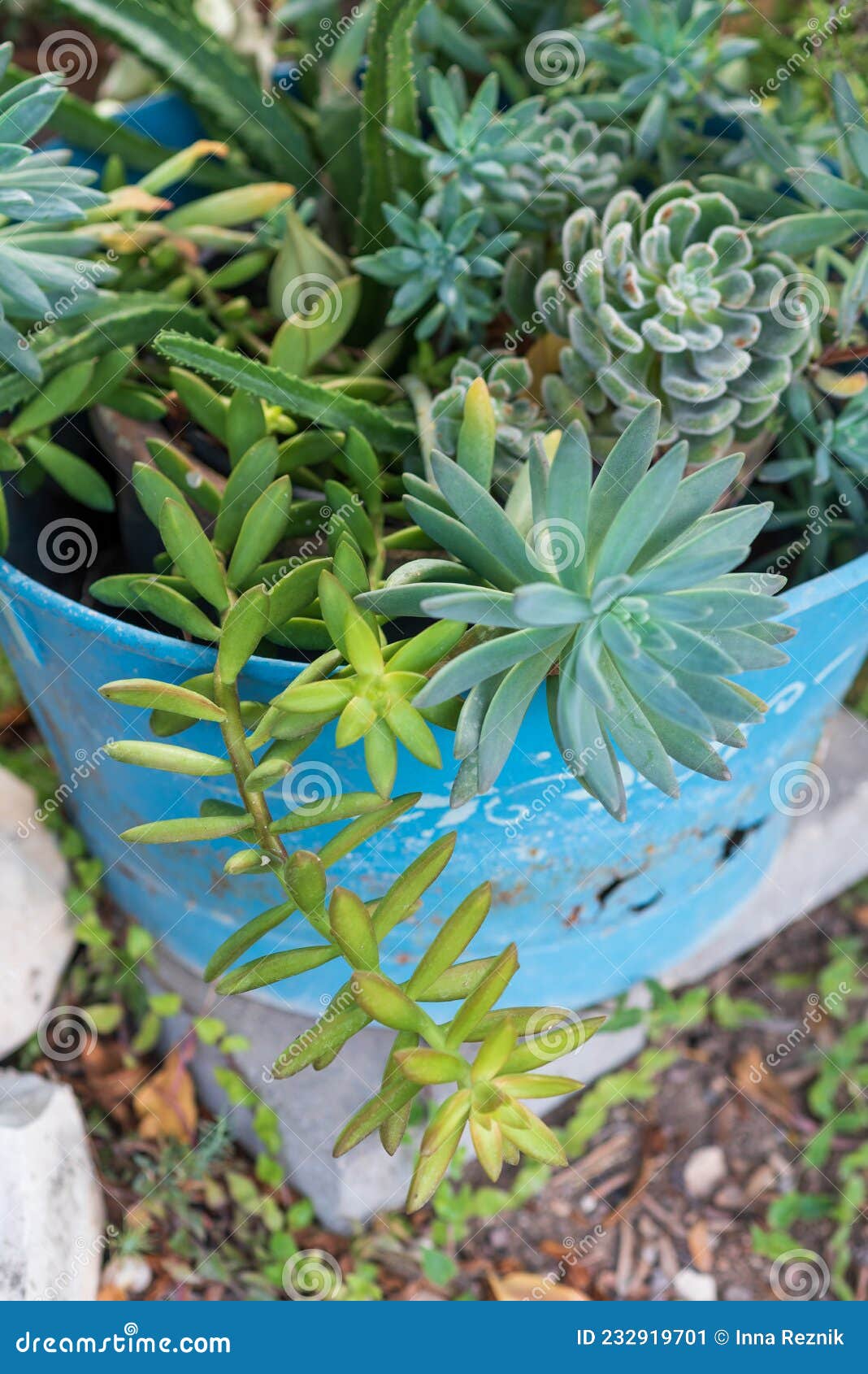 https://thumbs.dreamstime.com/z/recycling-garden-ideas-how-to-responsibly-get-rid-old-cookware-pots-pans-reused-garden-design-ideas-old-cookware-turn-232919701.jpg