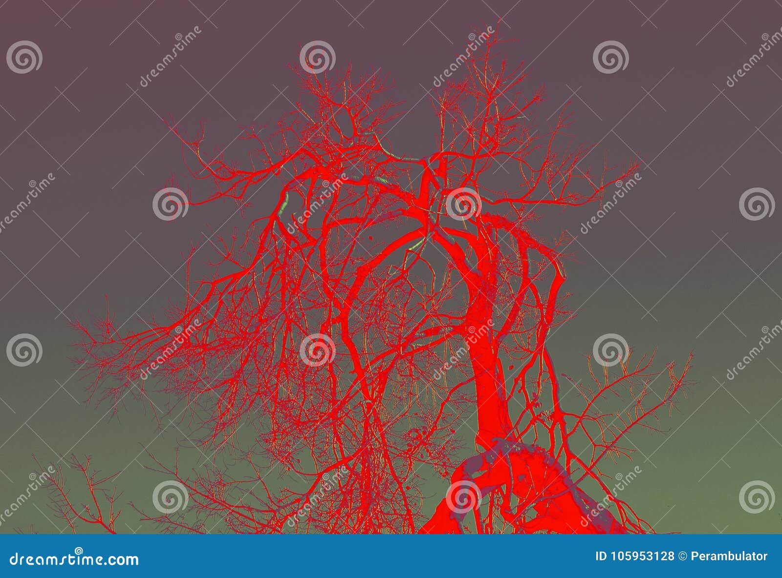Red Abstract Of Dead Tree Branches Stock Photo Image Of Colour