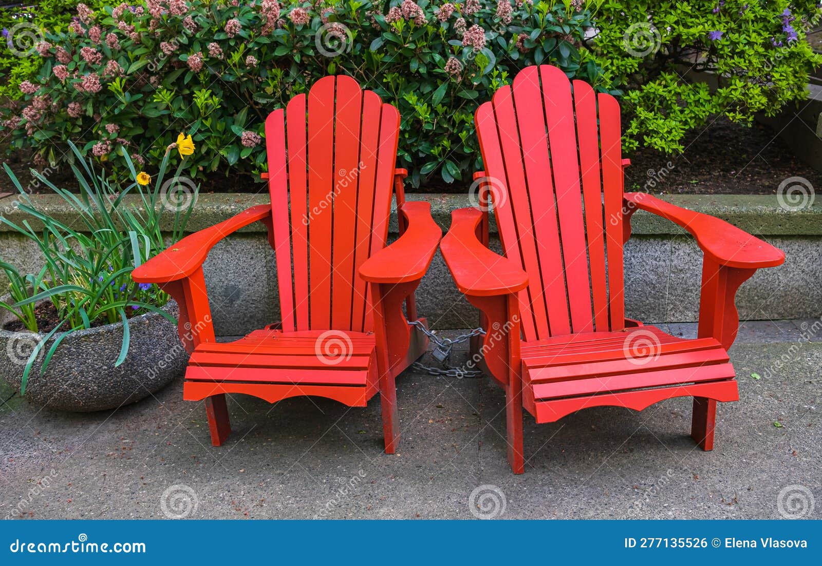red adirondack chair setting at the garden. traditional curveback red wooden beach chair