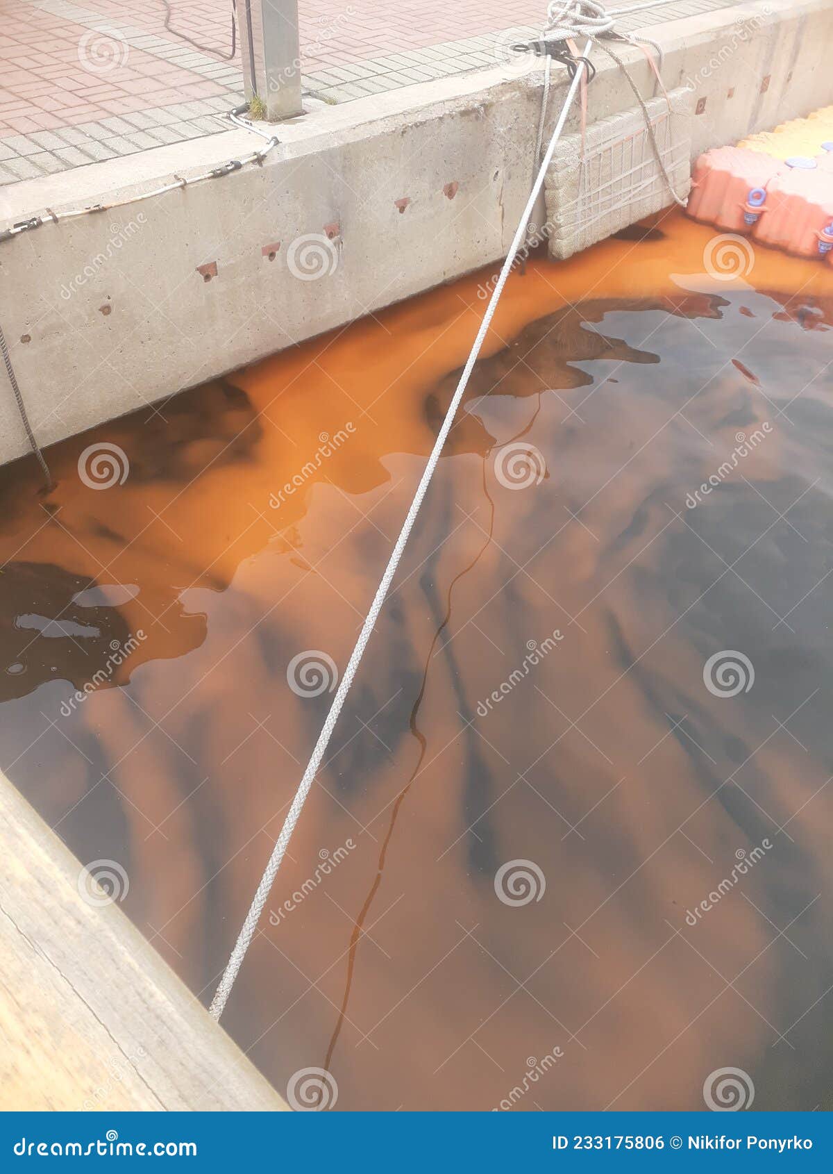Red algae on the water stock photo. Image of orange 233175806