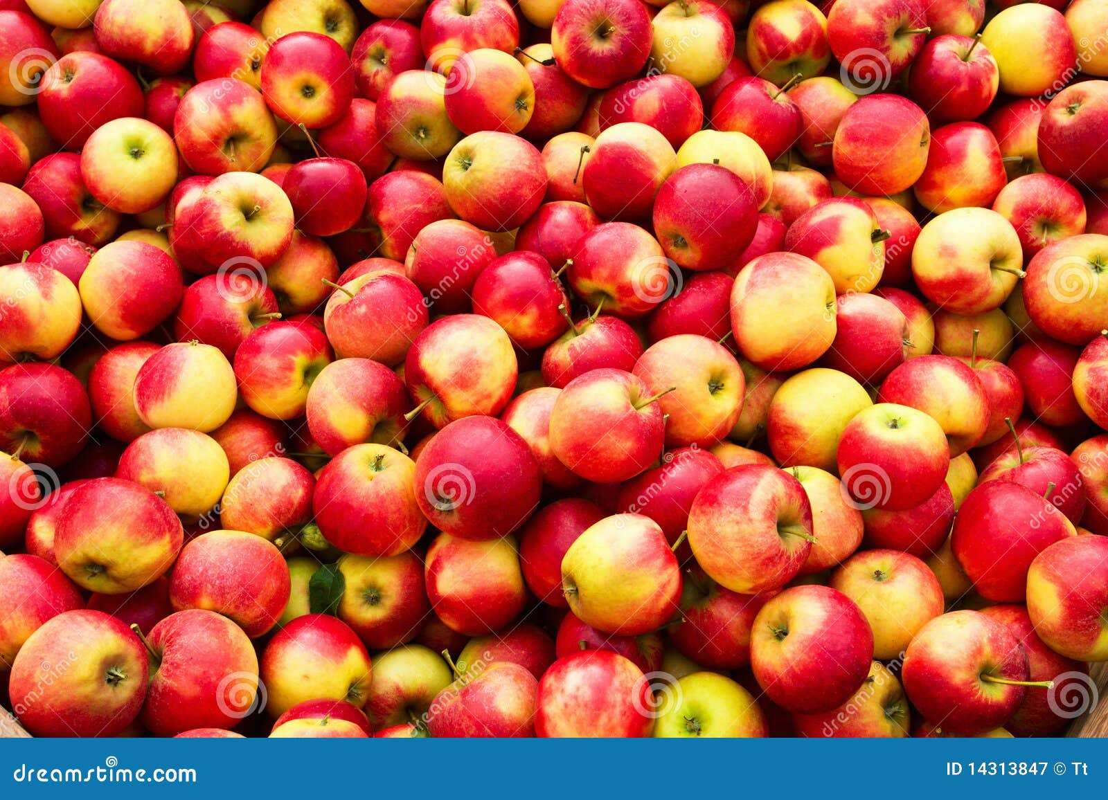 Red apples Stock Photo by arina-habich