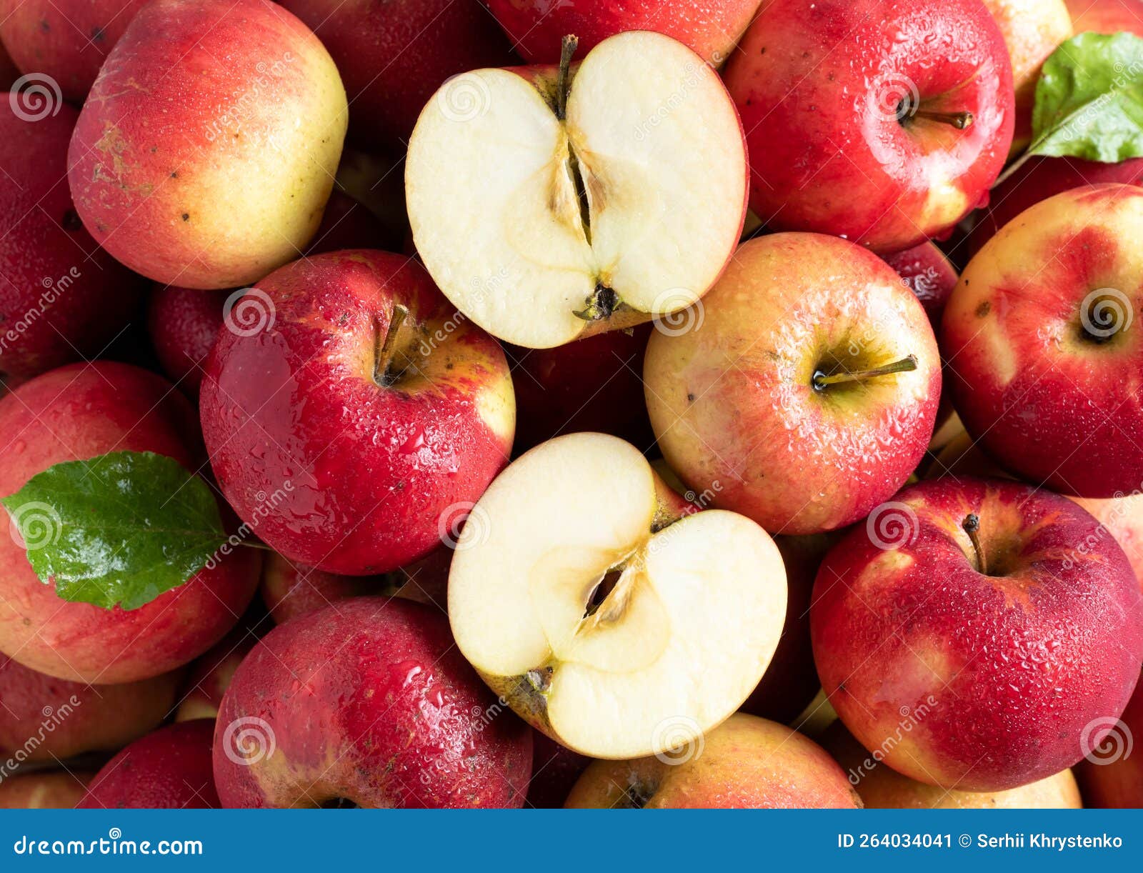 Red Apple Cultivar Jonathan Group Stock Image Image of tree, citrus