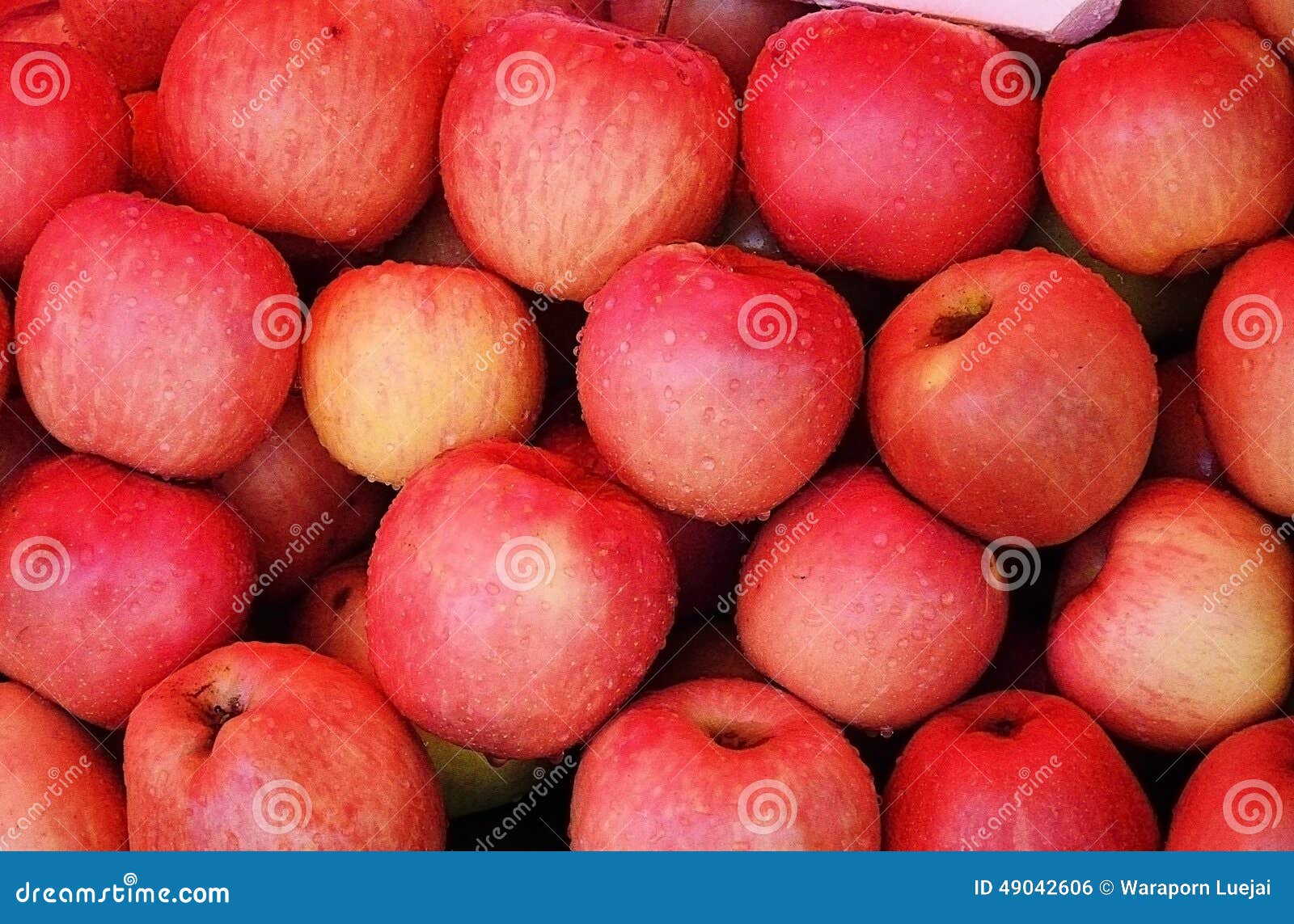 Red apple at market stock photo. Image of apple, market 49042606