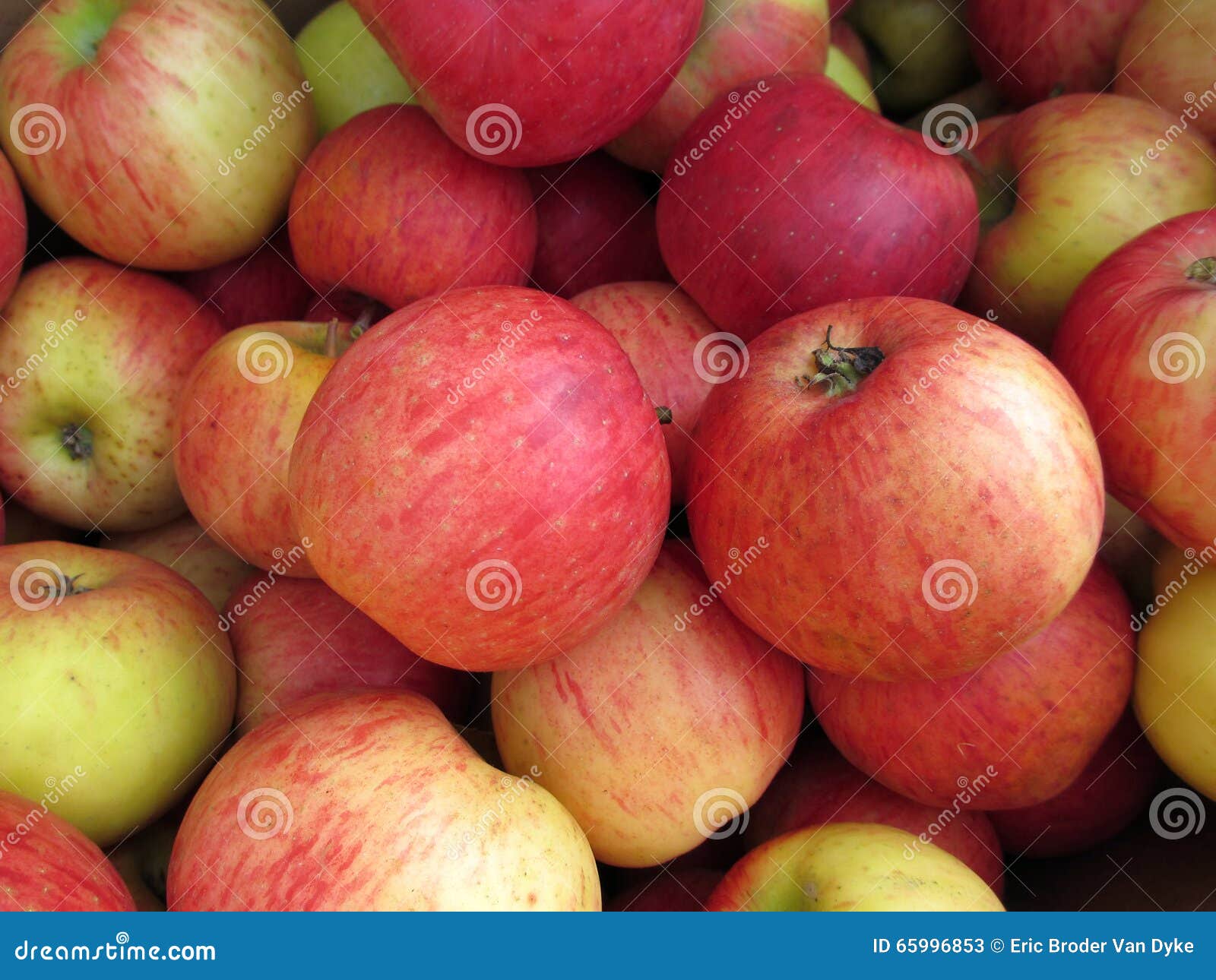 Red apple at the market stock image. Image of amuse, drops 65996853