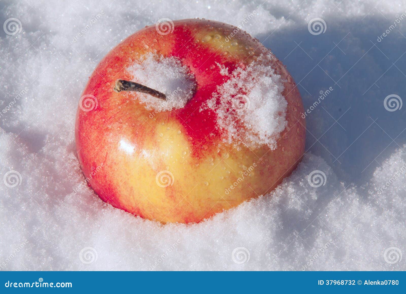 Red apple on snow stock photo. Image of tasty, cold, juicy 37968732