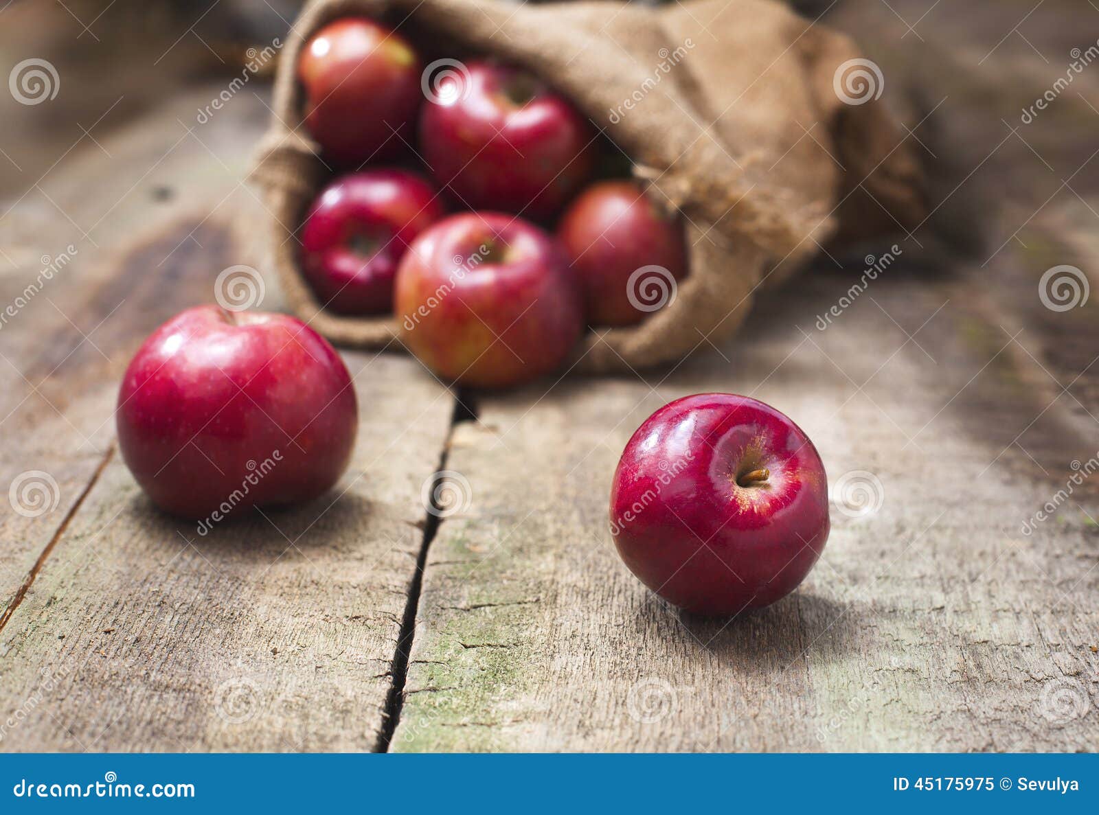 Fresh juicy apples on jute bag Photograph by B-d-s - Pixels