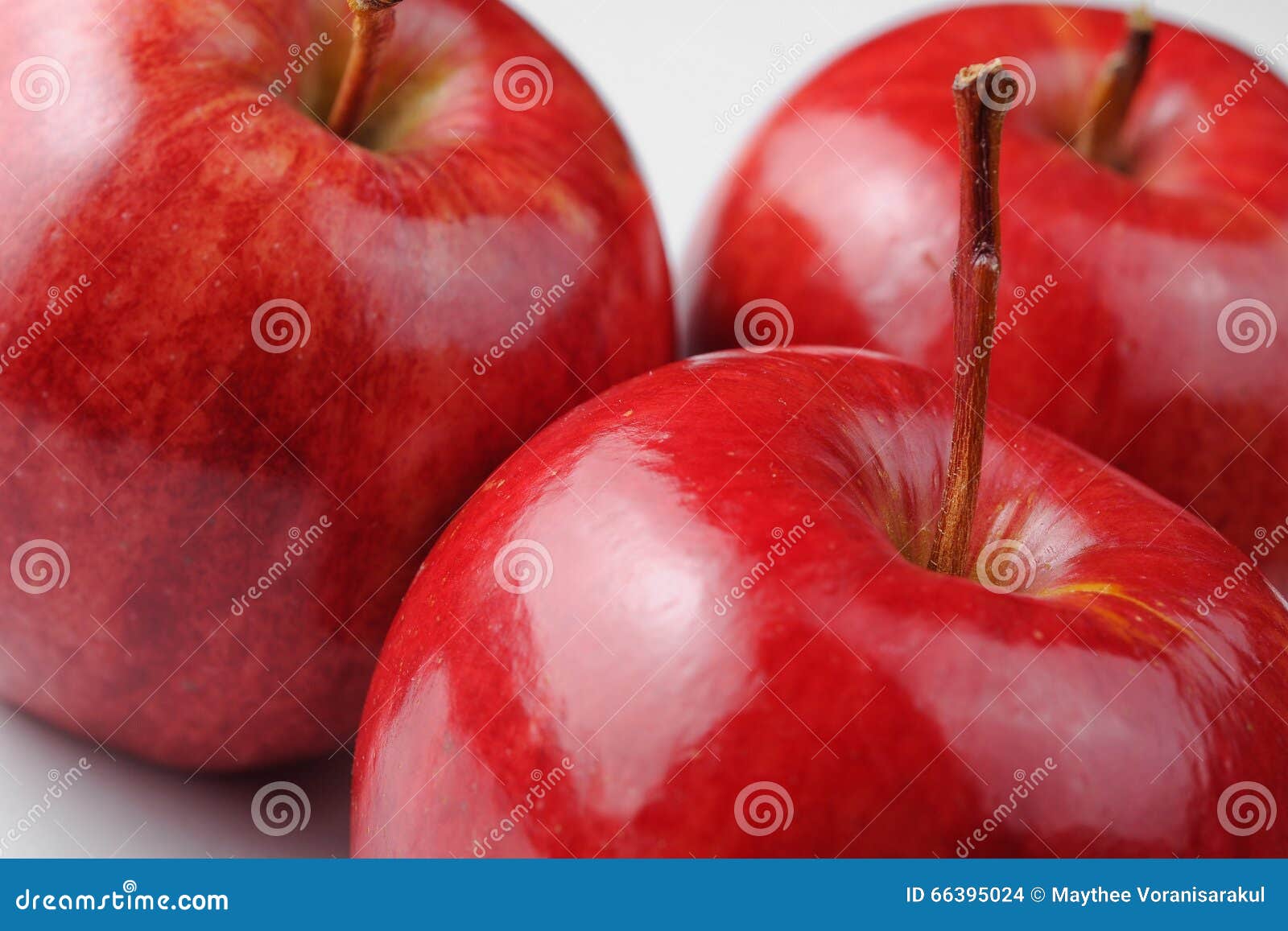 Red apples stock photo. Image of jonagold, harvest, farm 66395024