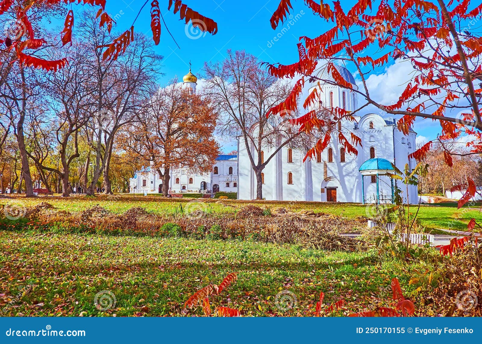 borys and hlib cathedral behind the sumac branches, chernihiv, ukraine
