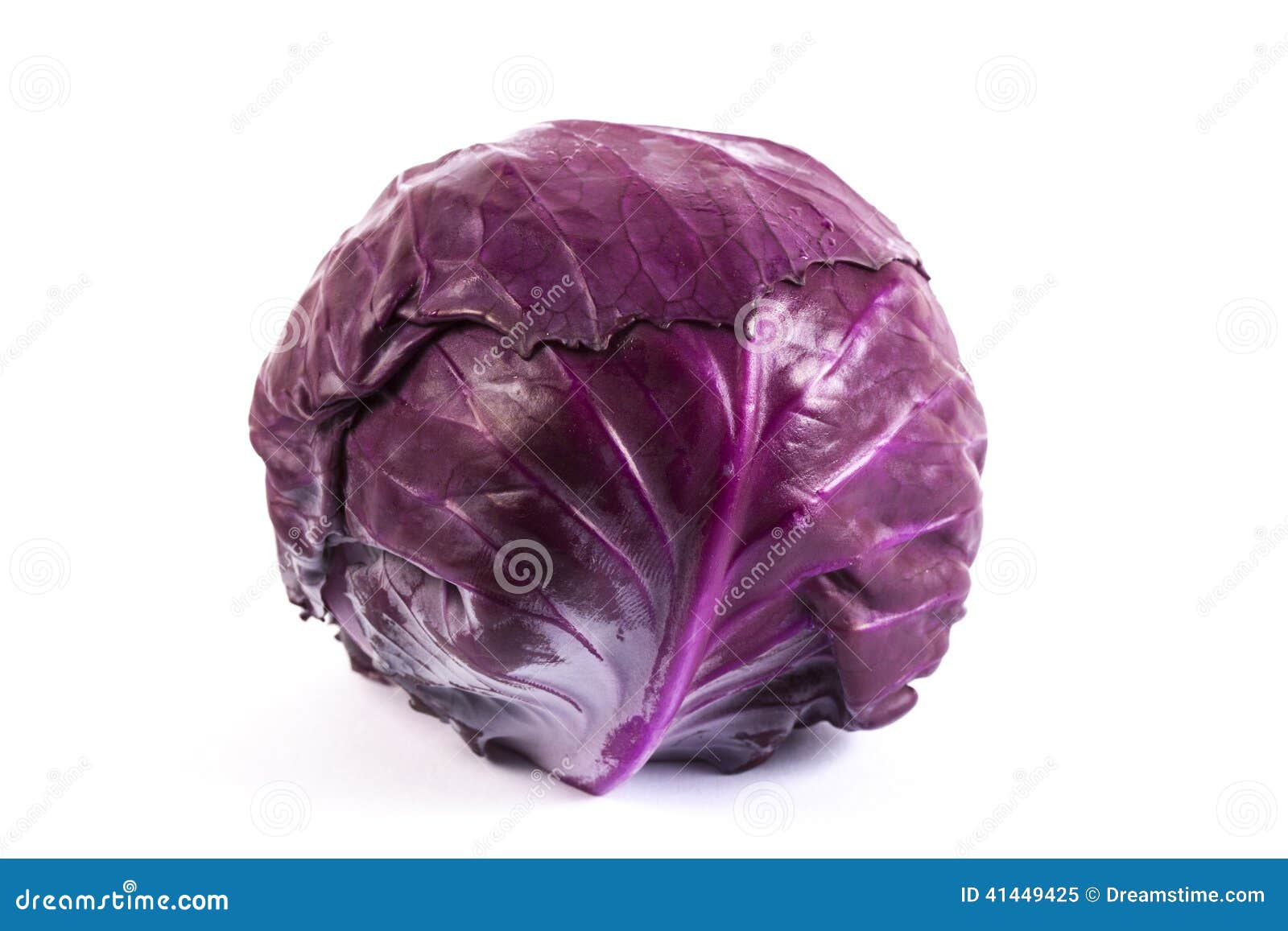 Red Baby Cabbage on White Background Stock Image Image of food