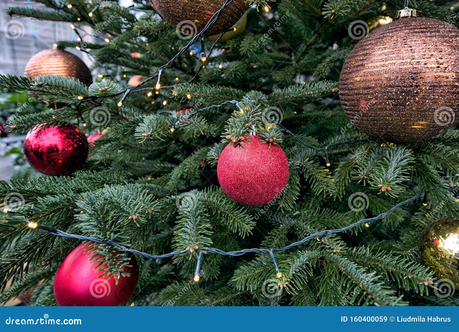 Red Ball, Christmas Decorations and Toys on the Christmas Tree Stock Image Image of design
