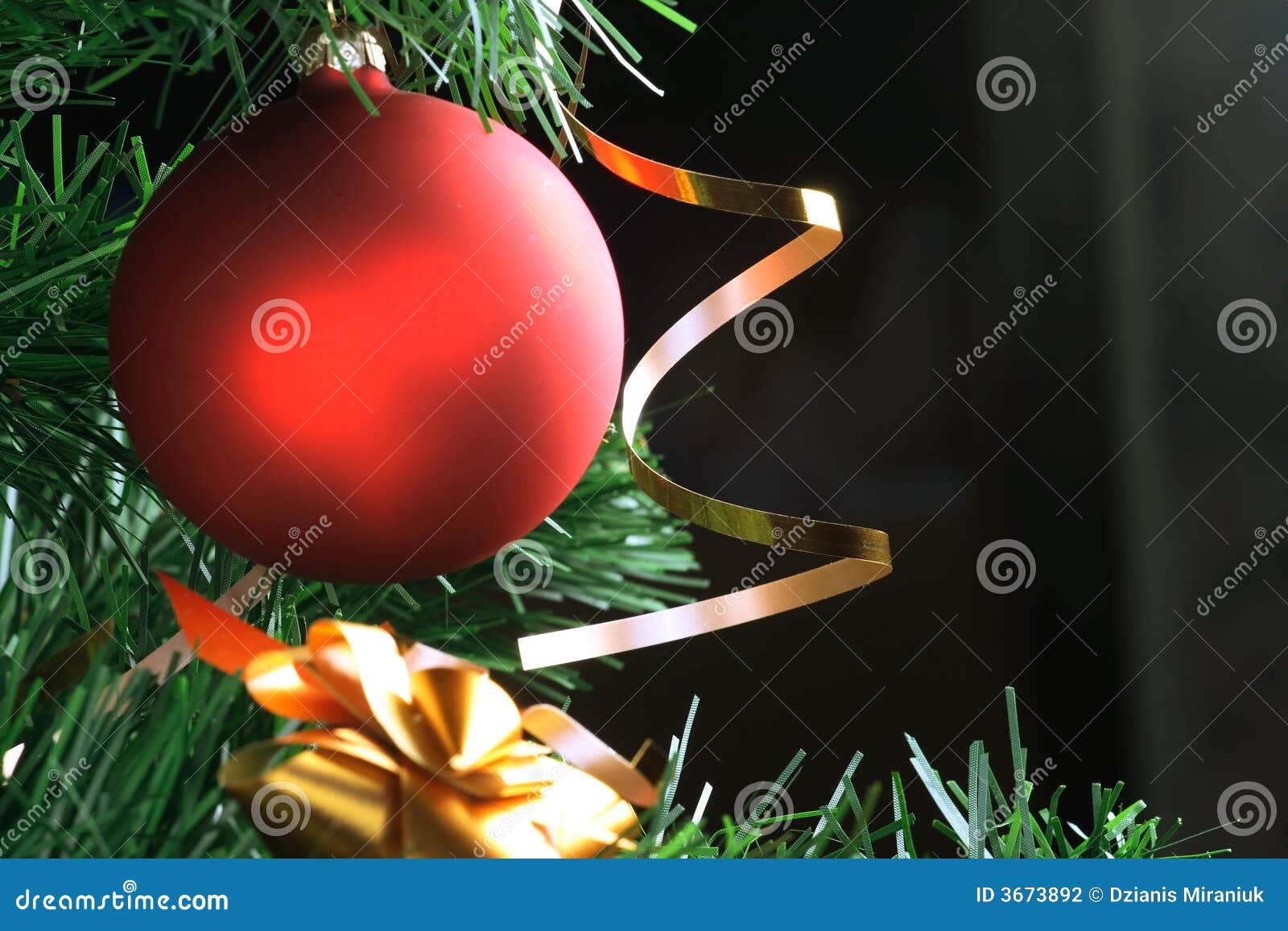 Red Ball Hanging from Christmas Tree Stock Photo Image of festive