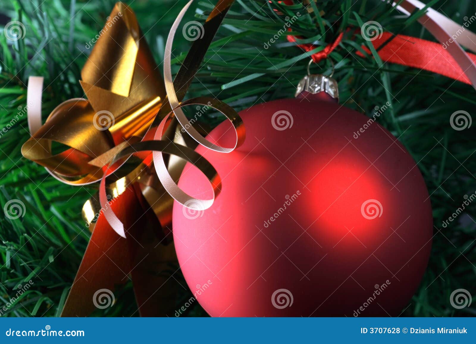 Red Ball Hanging From Christmas Tree Stock Photo Image of festive