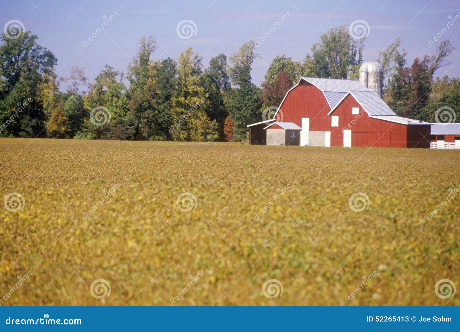 Red Barn and Outbuildings, Eastern Shore, MD Stock Image Image of america, storage 52265413