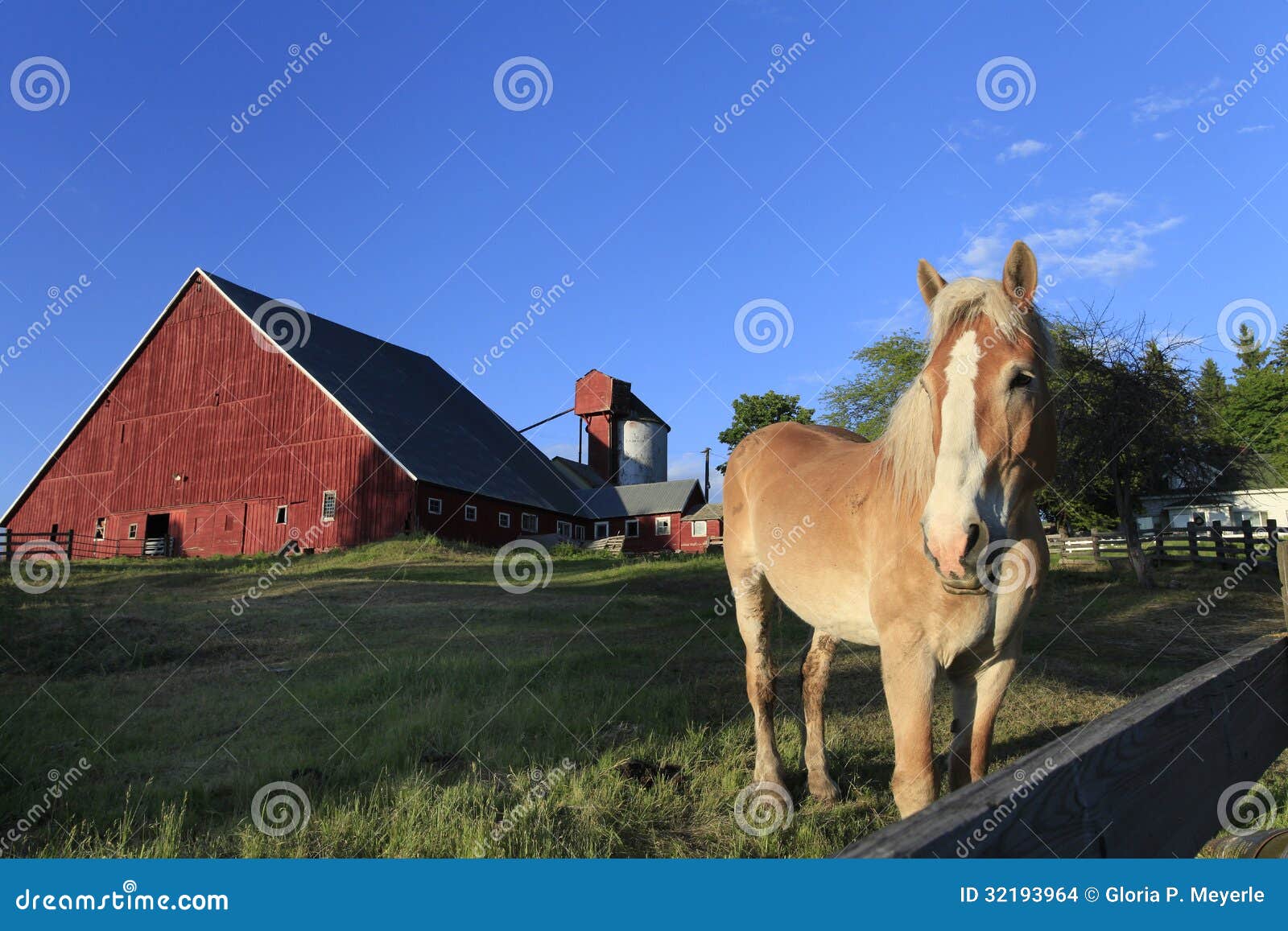 palomino horse with red barn in background