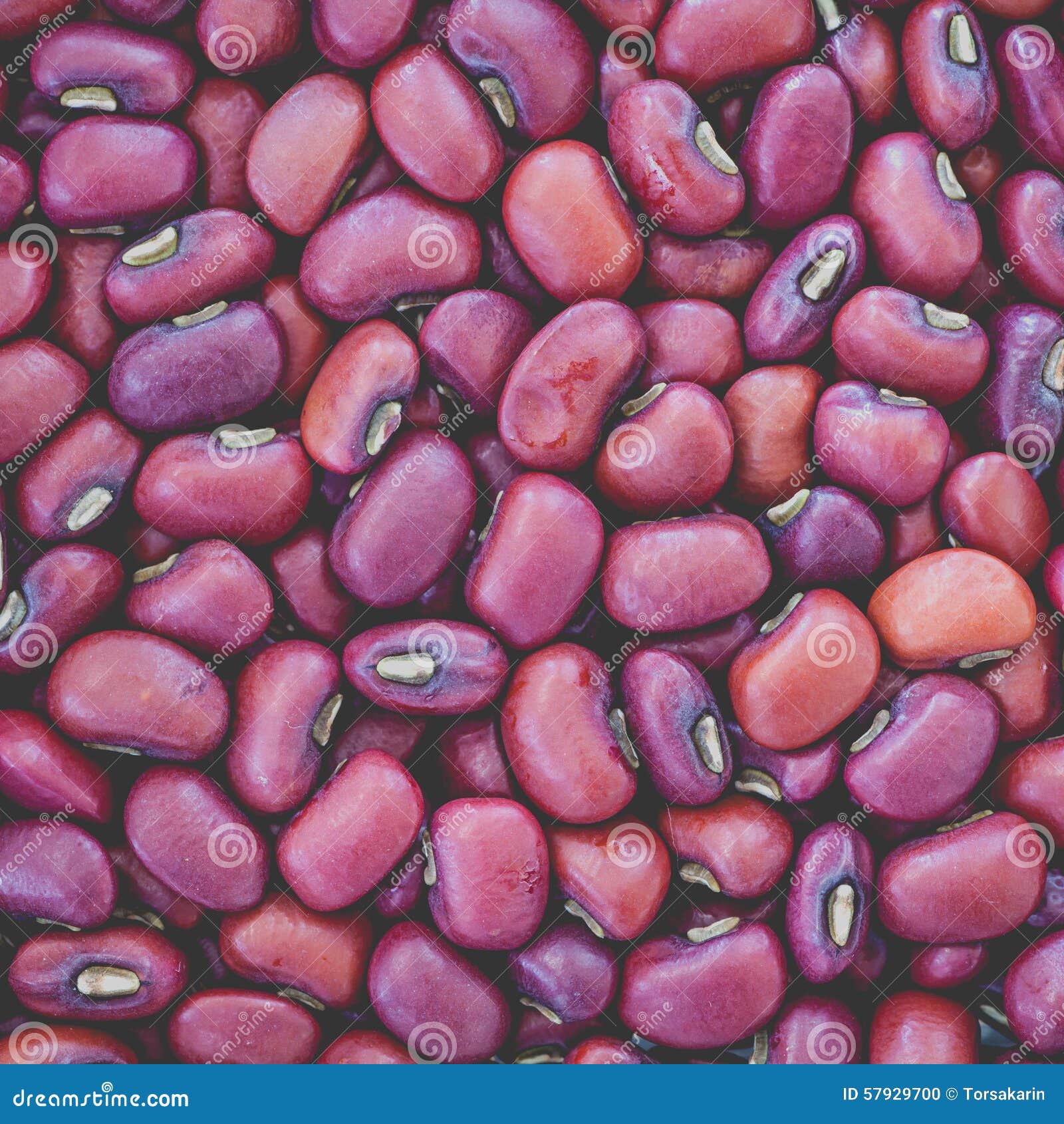 Red bean stock photo. Image of plant, pile, fresh, vegetarian 57929700