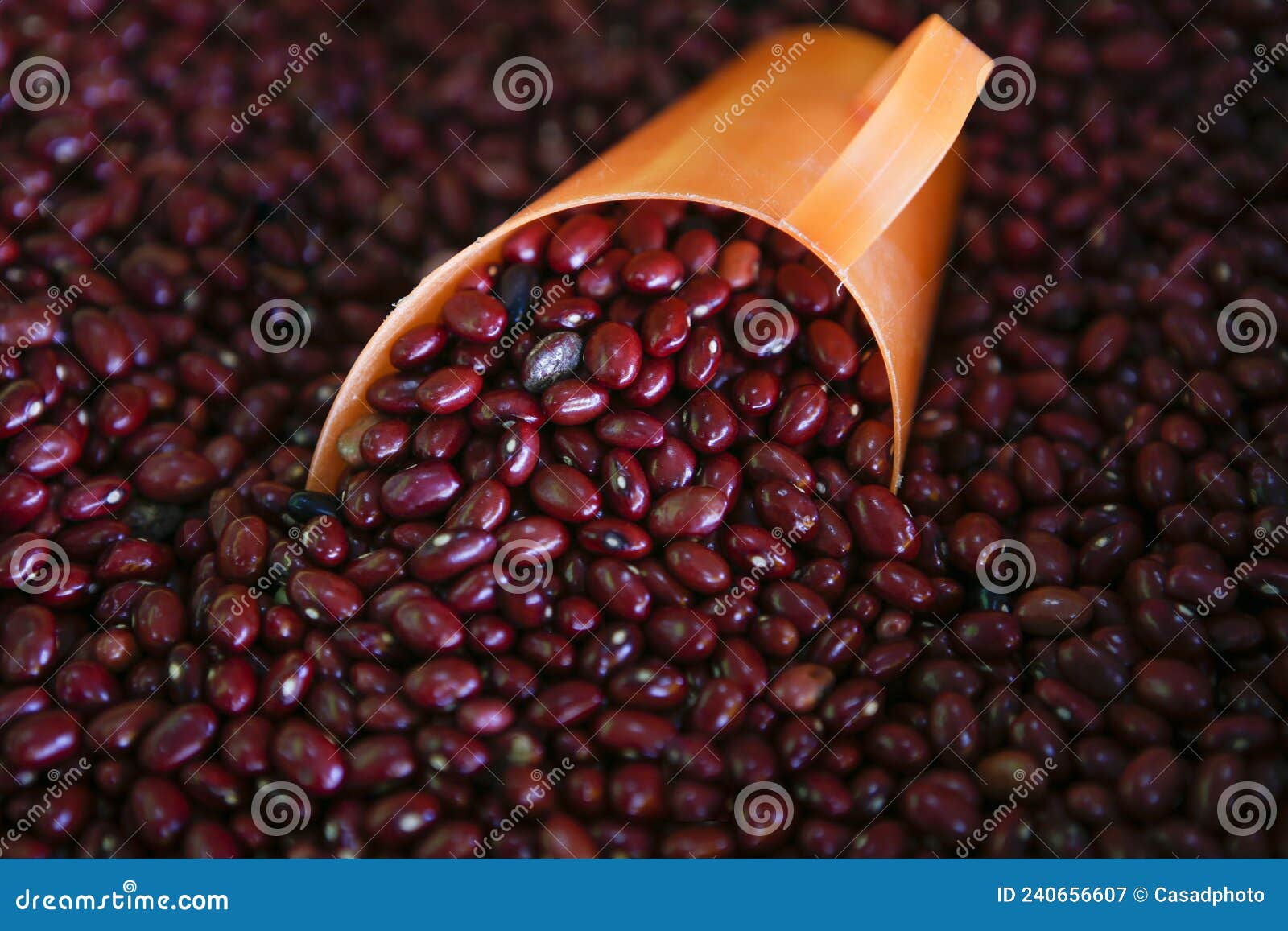 red beans, or feijao vermelho in portuguese, in bulk