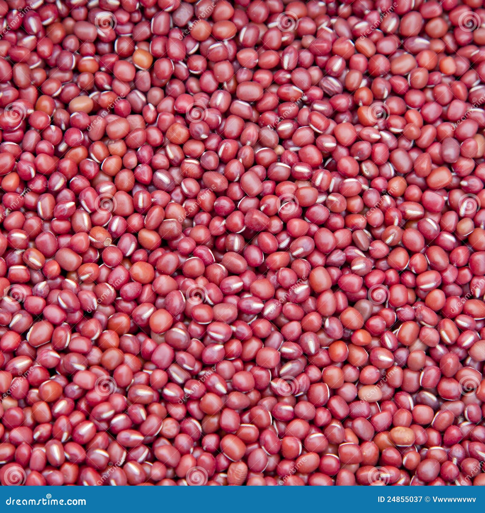 Red Beans for Food stock image. Image of agriculture 24855037