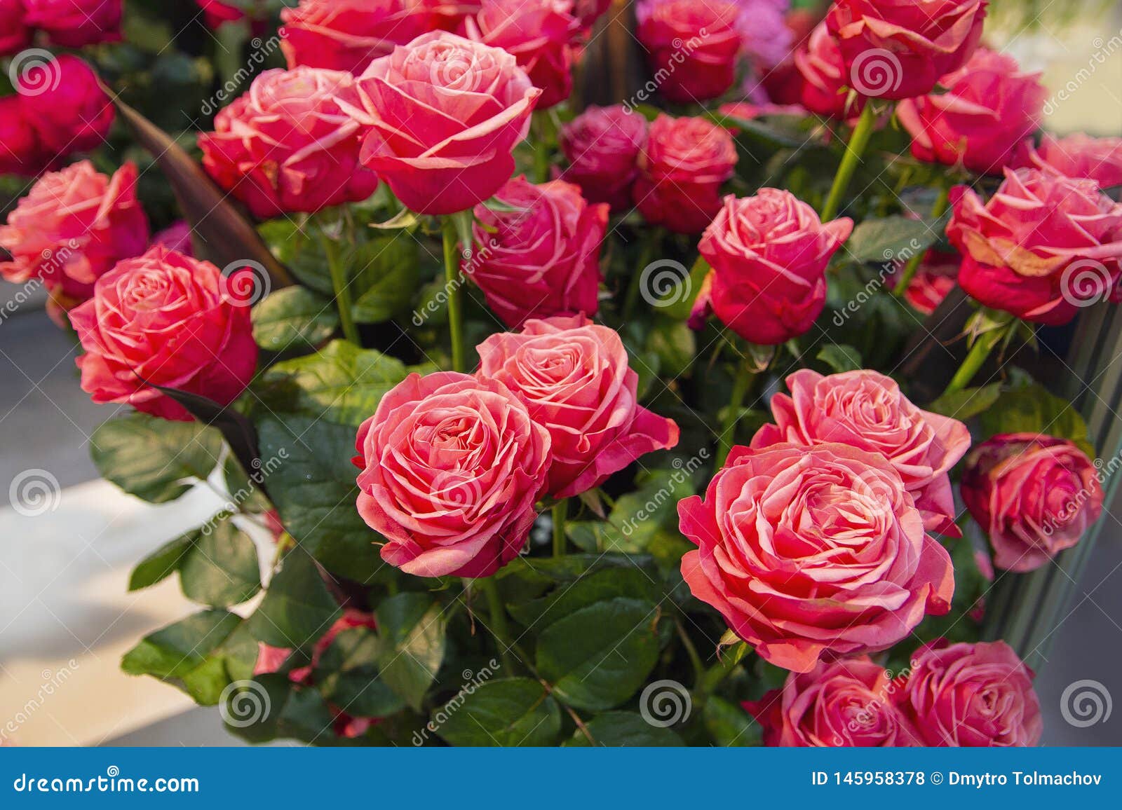 Red Beautiful Roses in the Store Stock Photo Image of market