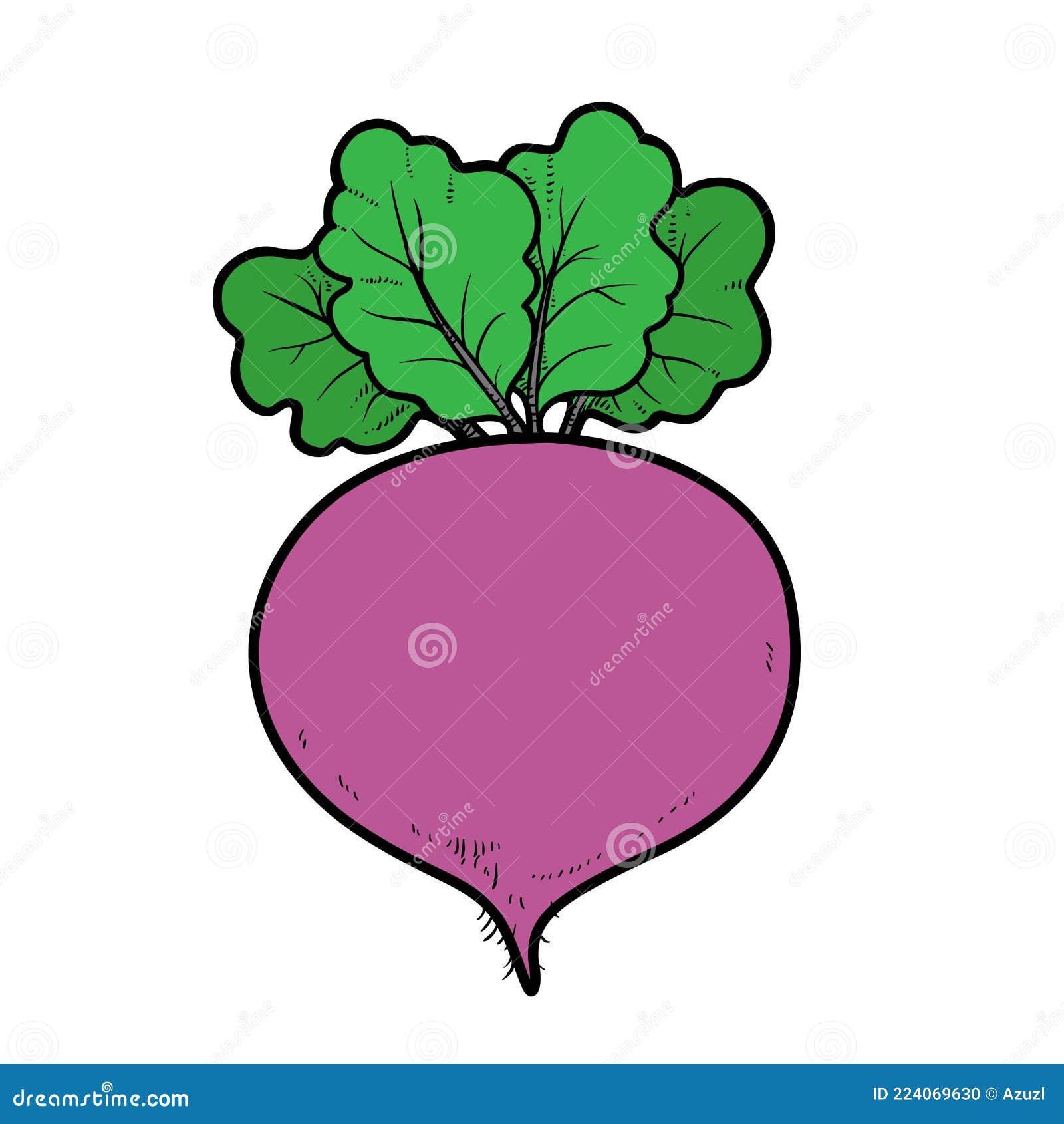 Red Beetroot Color Variation for Coloring Page Isolated Stock Vector