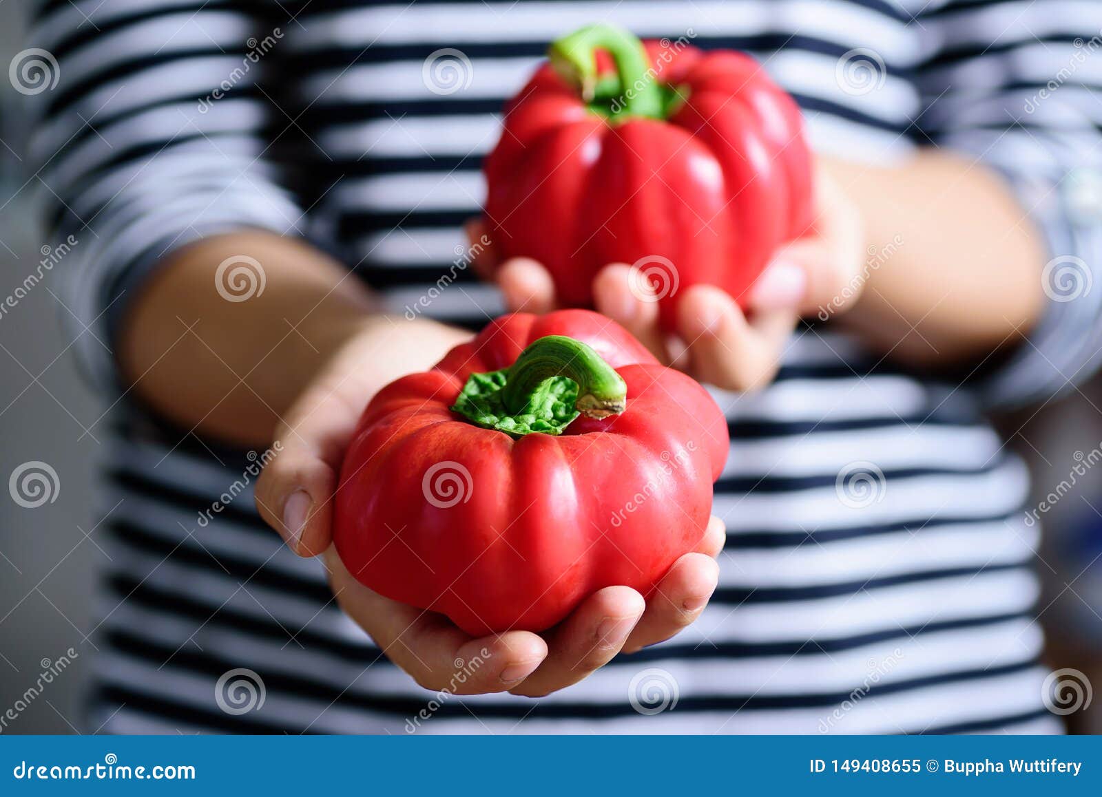 Red Bell Peppers Holding by Hand Stock Image Image of ripe