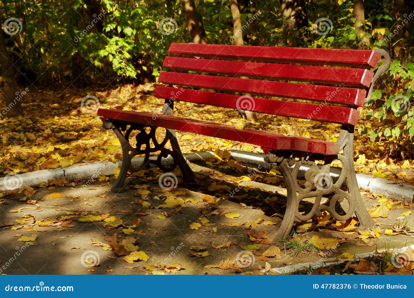 autumn landscape. red bench and colored leaves in a park. tranquility. autumn background