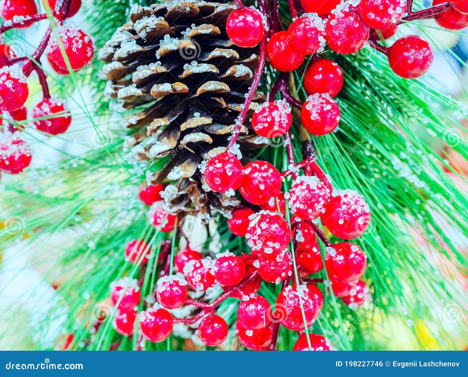 Red Berries on a Christmas Tree with a Pine Cone are Covered with Ice  Crystals. Christmas Decor Stock Photo - Image of glossy, background:  198227746