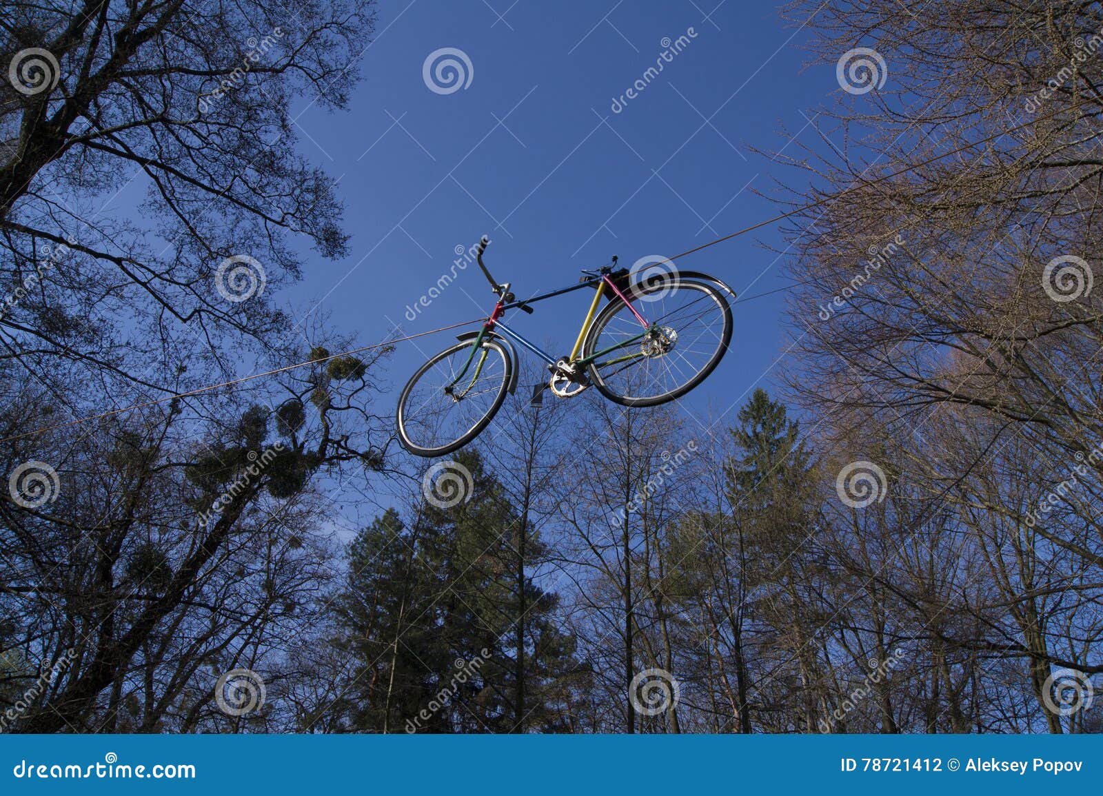 Red bicycle on green grass stock photo. Image of outdoor 78721412