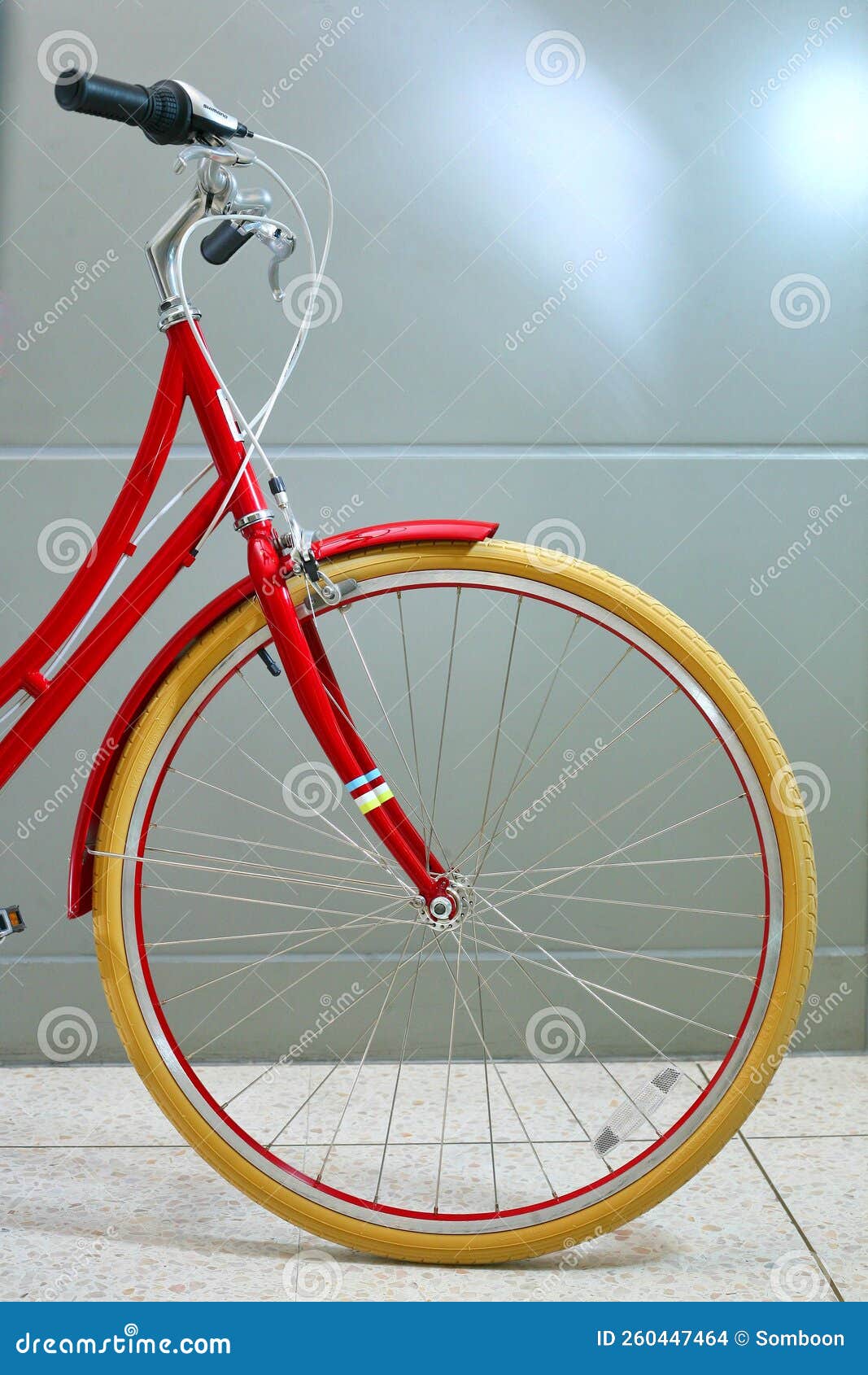 Red bicycle wheel stock photo. Image of tarmac, tire 260447464