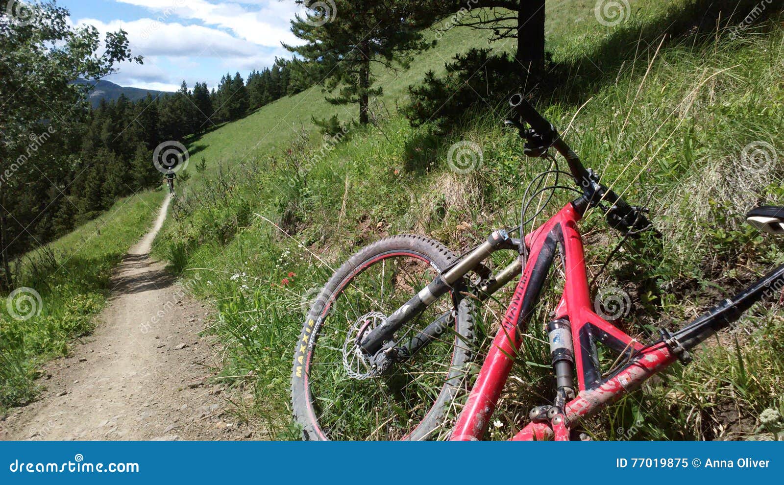 Red bike editorial image. Image of summer, biking, trip 77019875