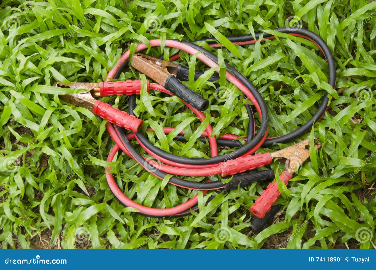 Red and Black Battery Cables Stock Image Image of black, electrical