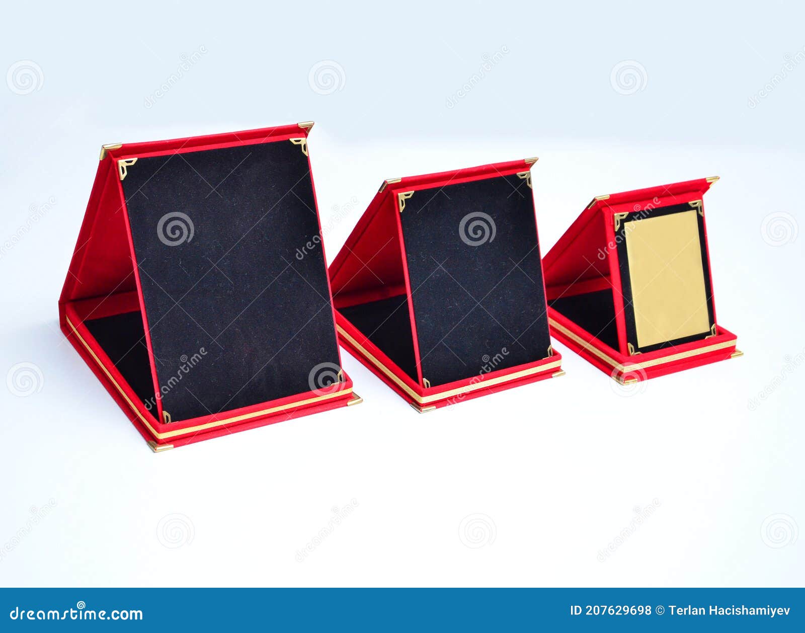 Blank Plaque On The Stone. Bronze Memorial Plaque In The Park. Empty