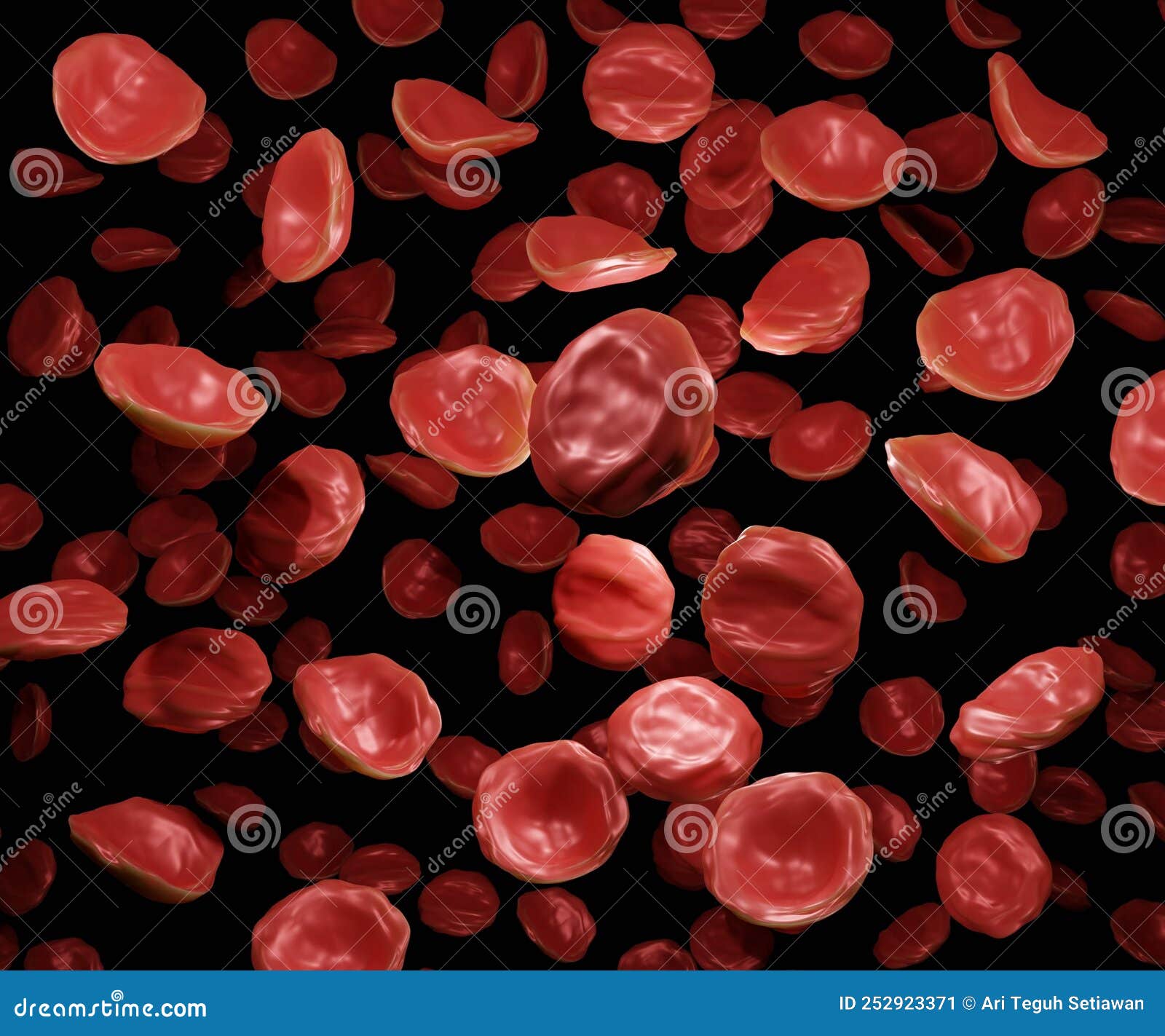 Red blood cells are in a hypertonic solution stock image