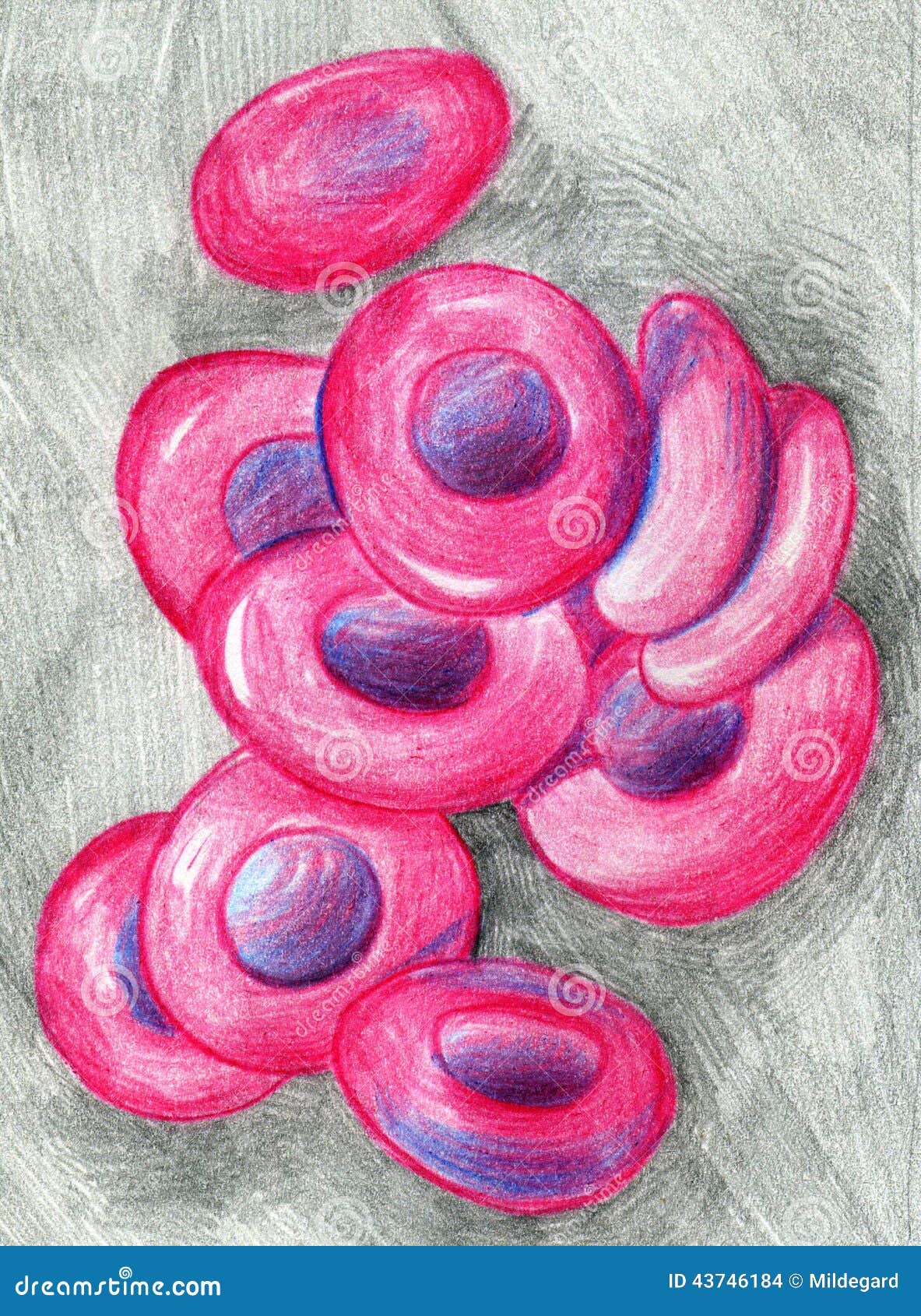 Red blood cells sketch stock illustration. Illustration of drawing