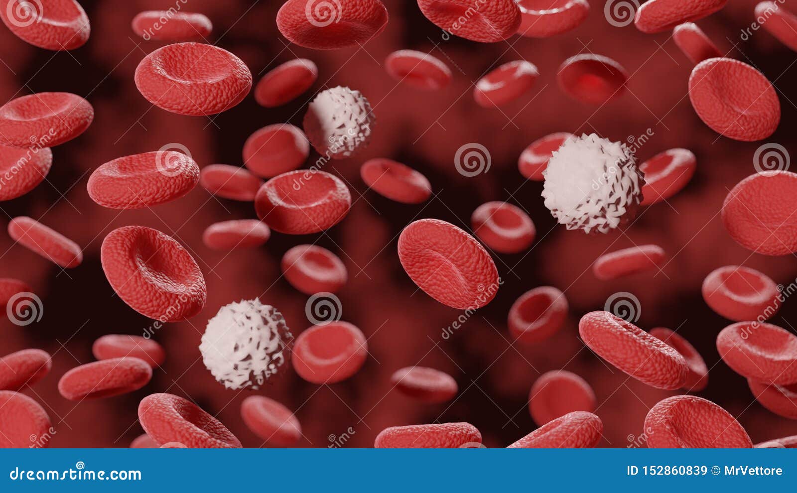 red blood cells stream in vein. abstract white blood cell in vena. microscope closeup view. science 3d 