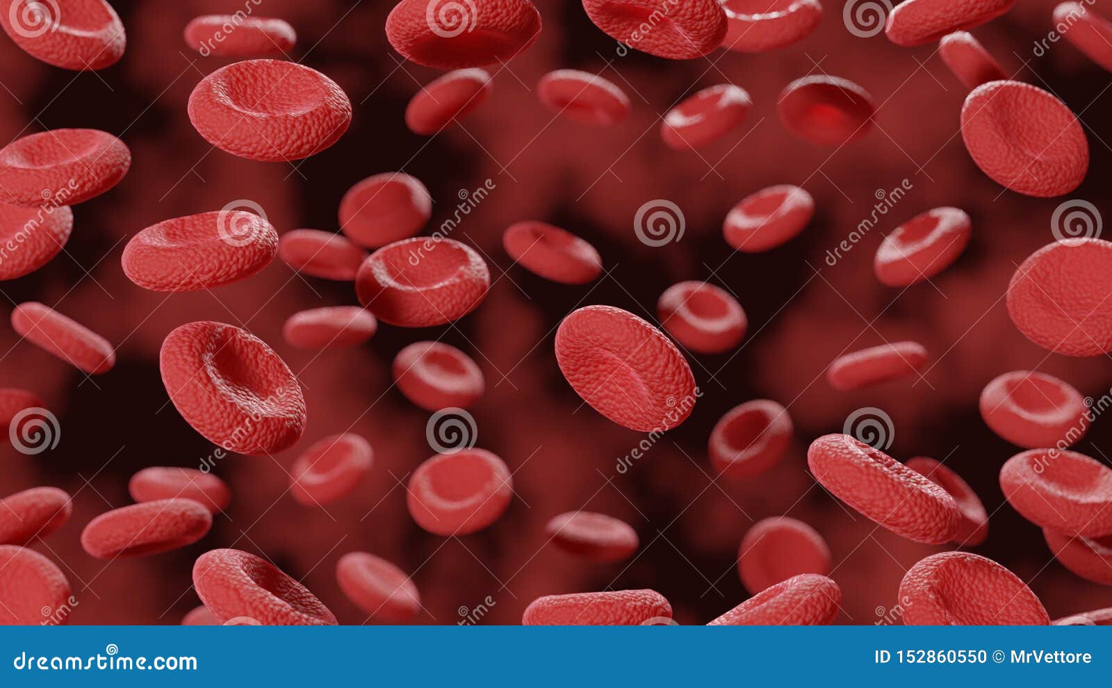 red blood cells in vena. microscope closeup view. science 3d 