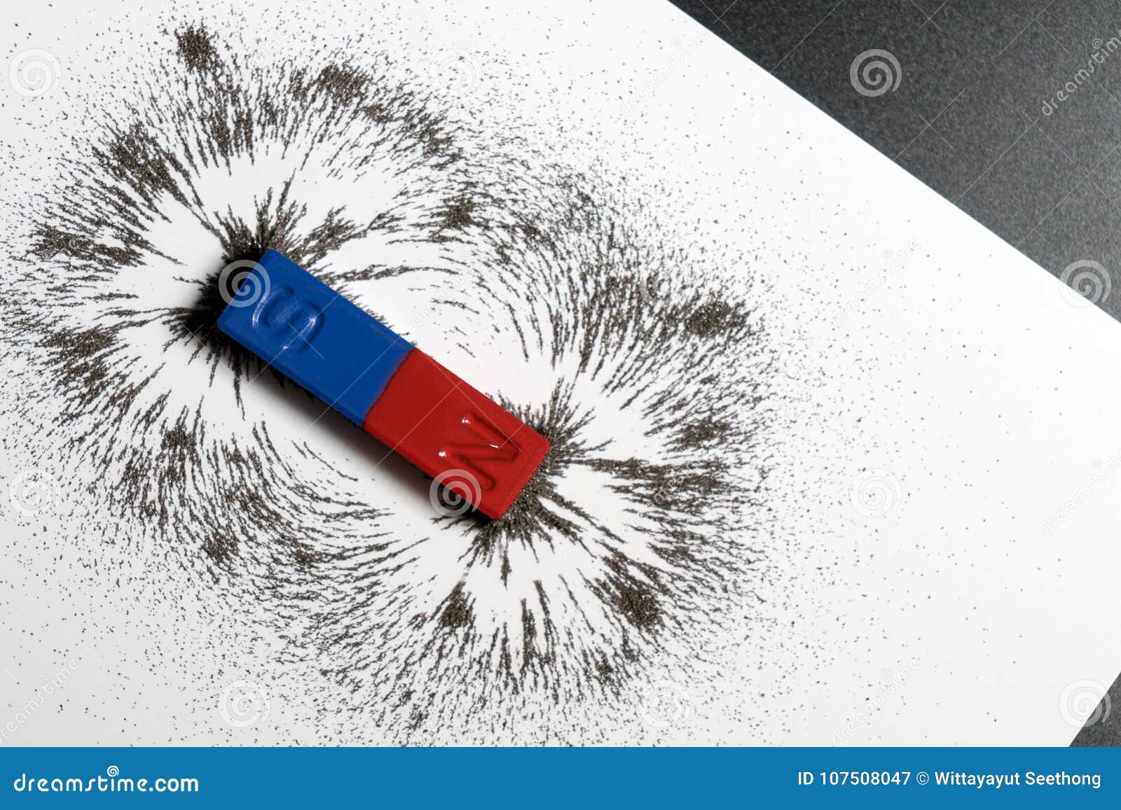 Red and Blue Bar Magnet or Physics Magnetic with Iron Powder Mag