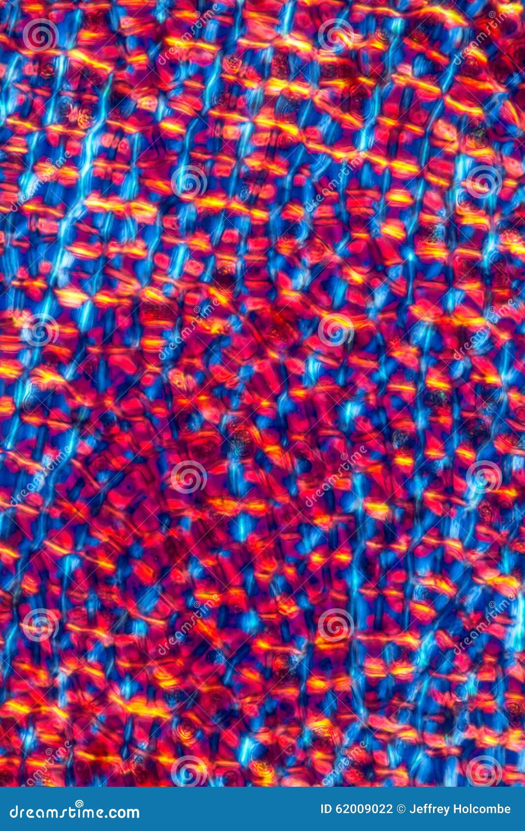 Red and Blue Cell Walls of Seaweed, Abstract Micrograph. Stock Photo ...