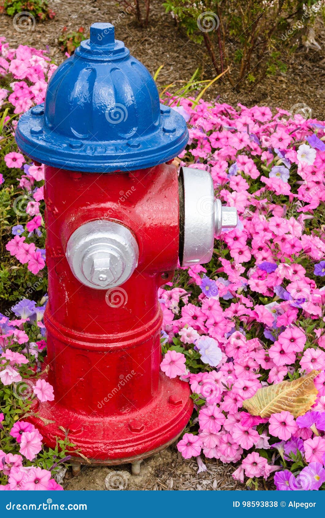 Red and Blue Fire Hydrant stock photo. Image of massachusetts 98593838