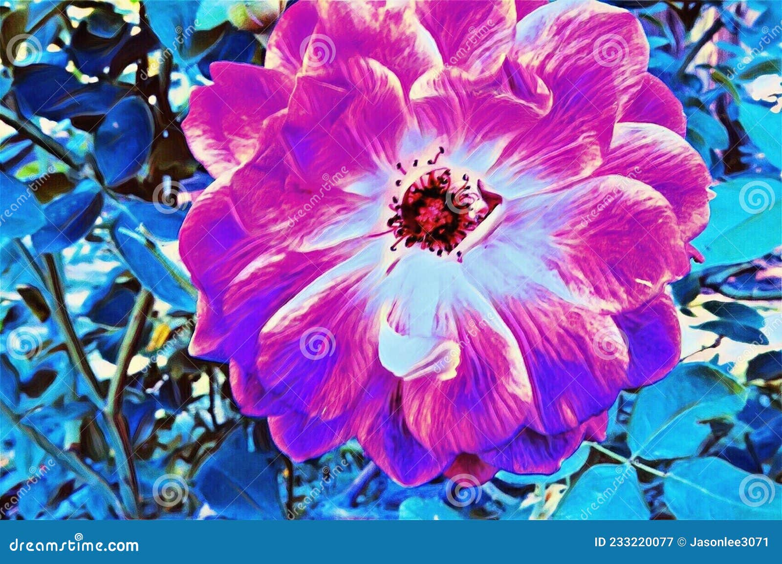 Red and blue flower stock image. Image of garden, flora 233220077