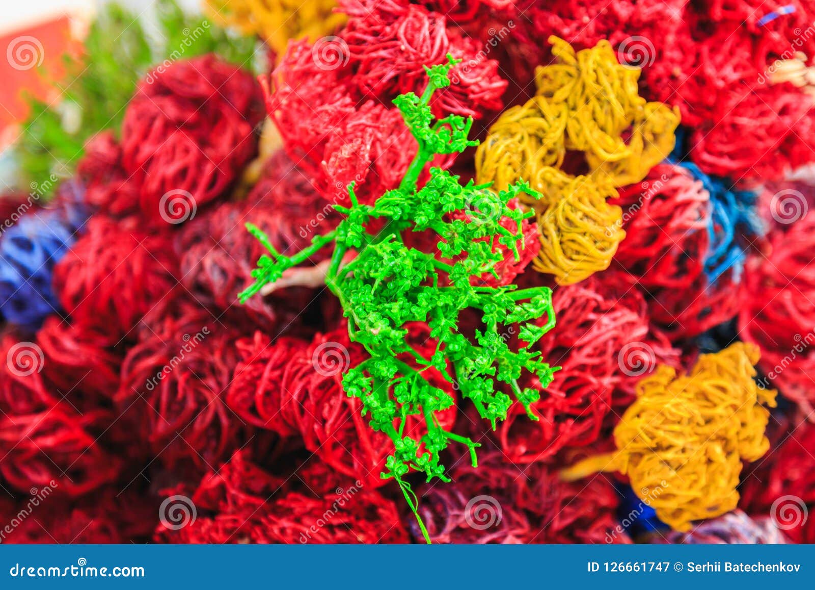 Download Colored Dried Algae Stock Image Image Of Leaf Color 126661747 Yellowimages Mockups