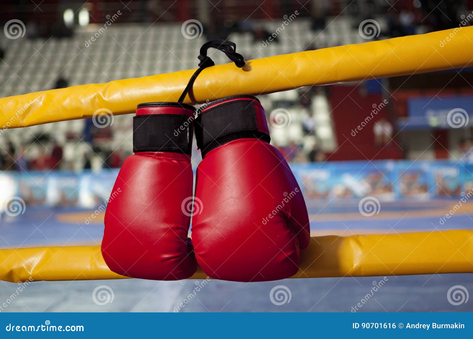 Red Boxing Gloves Hangs Off the Boxing Ring Stock Photo Image of pair