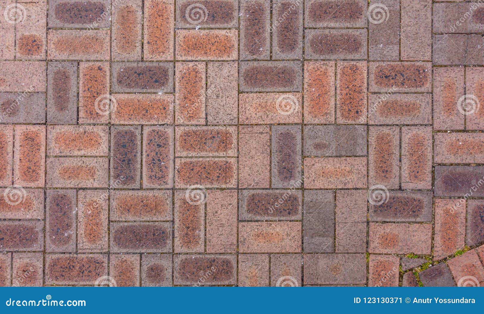 Brick Block Floor for Texture and Background Stock Image Image of